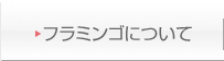 フラミンゴについて